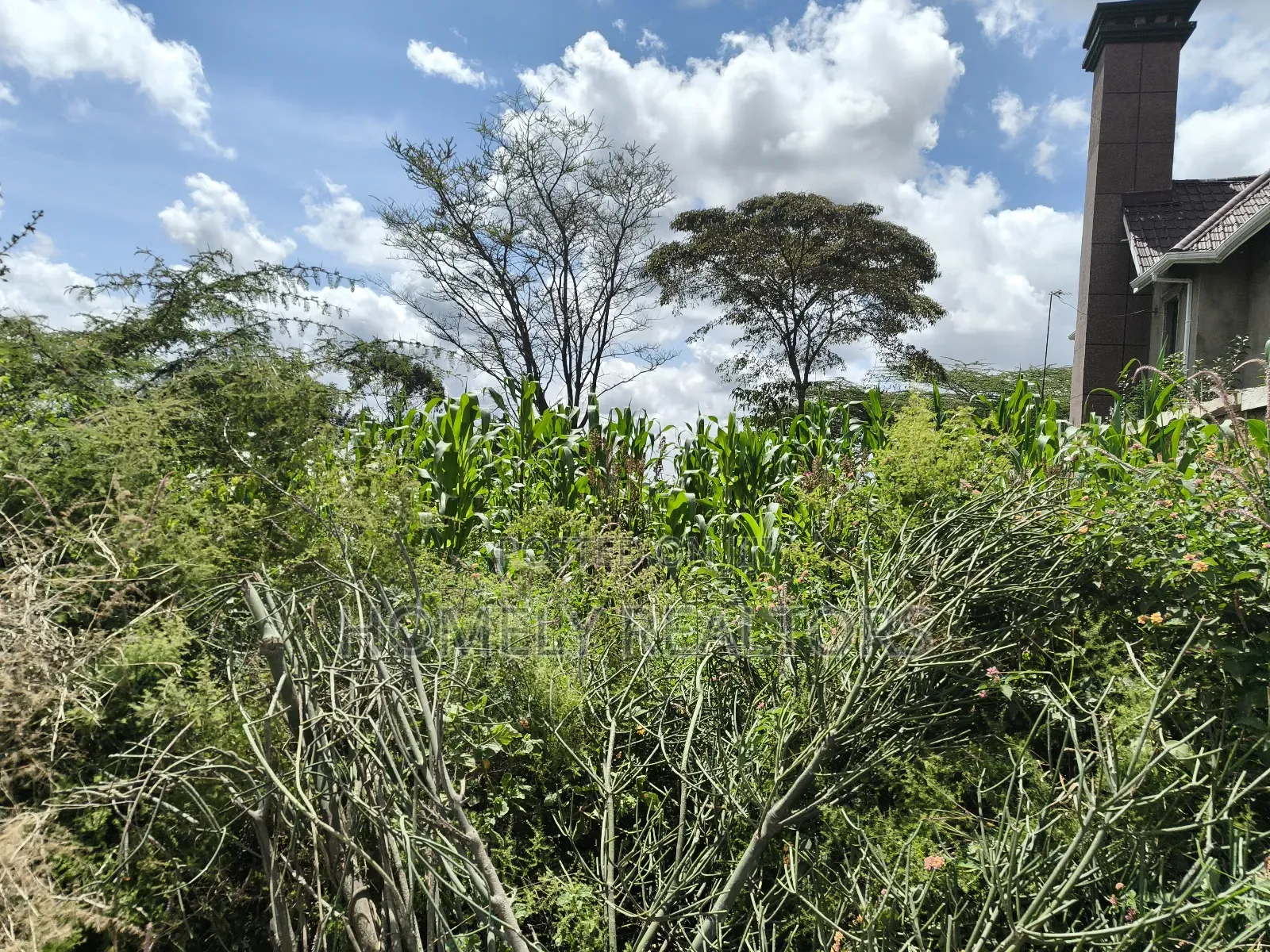 Eighth Acre Plot in Ngong, Ol Keri 100 Meters From Tarmac in Ol Keri