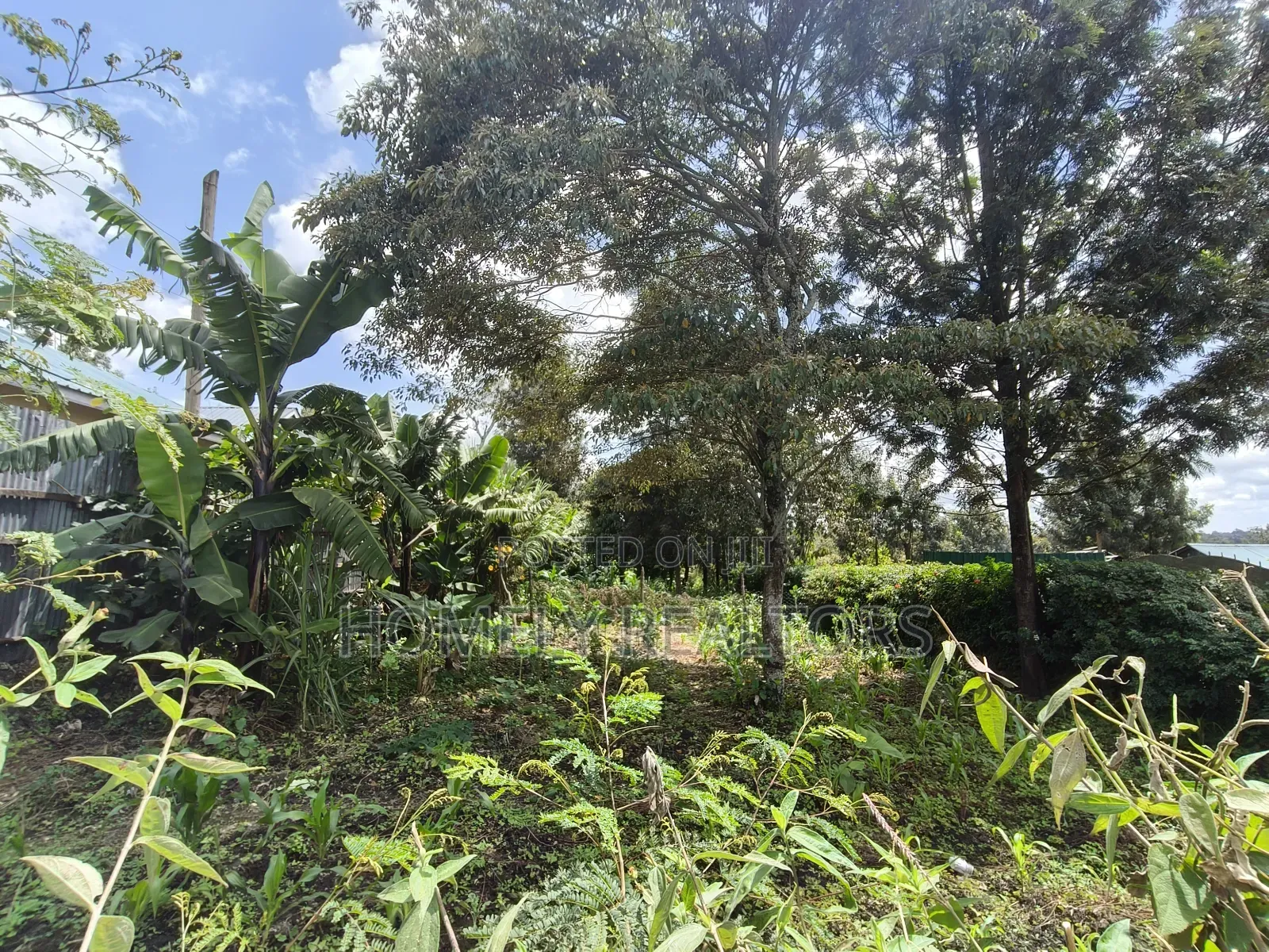 Half Acre Plot on Sale in Ngong, Ol Keri Touching the Tarmac in Ol Keri