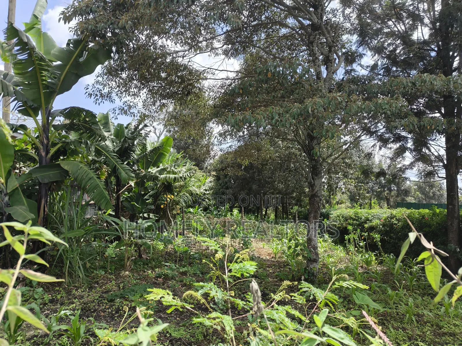 Half Acre Plot on Sale in Ngong, Ol Keri Touching the Tarmac in Ol Keri