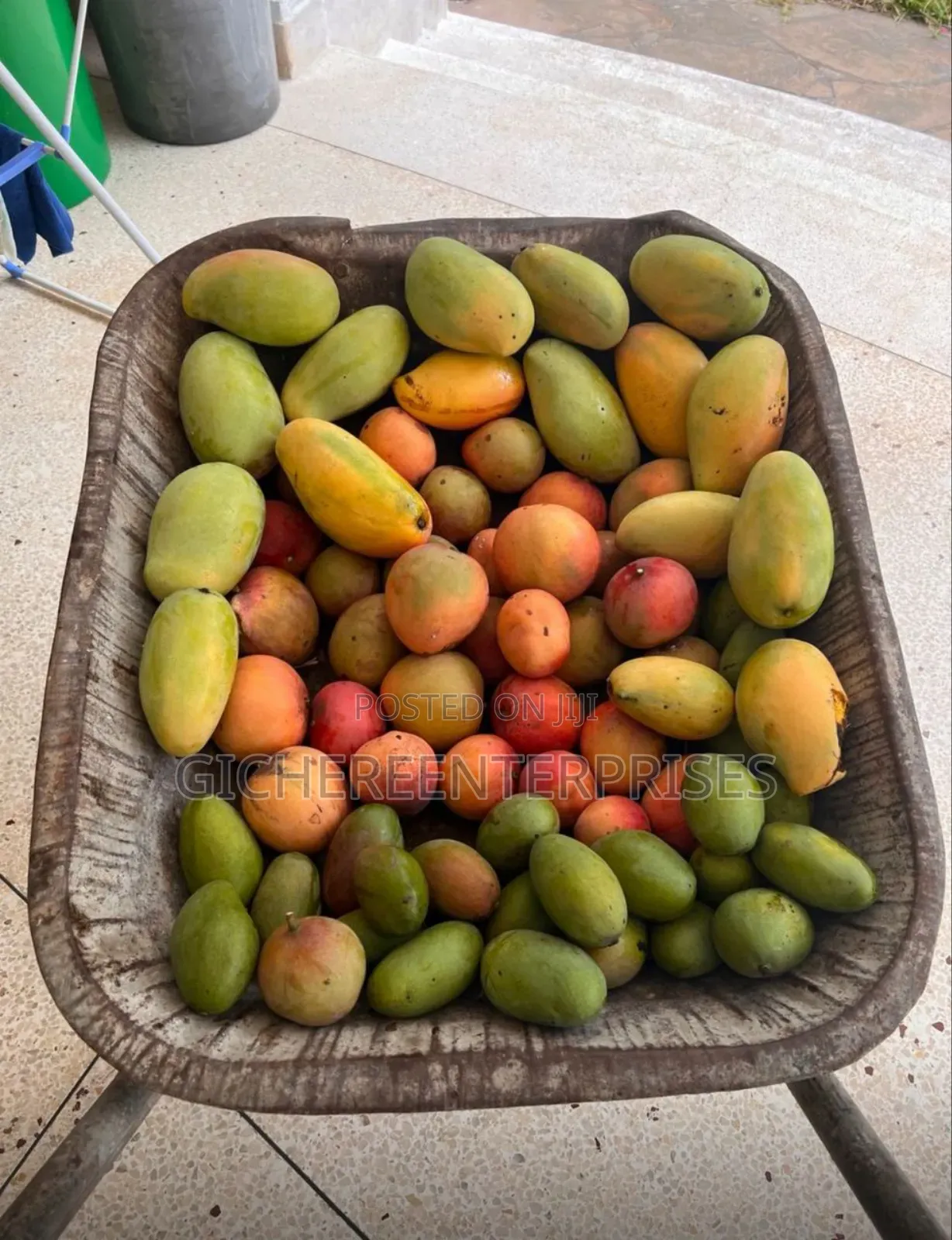 Furnished 4bdrm Farm House in Watamu for sale in Watamu