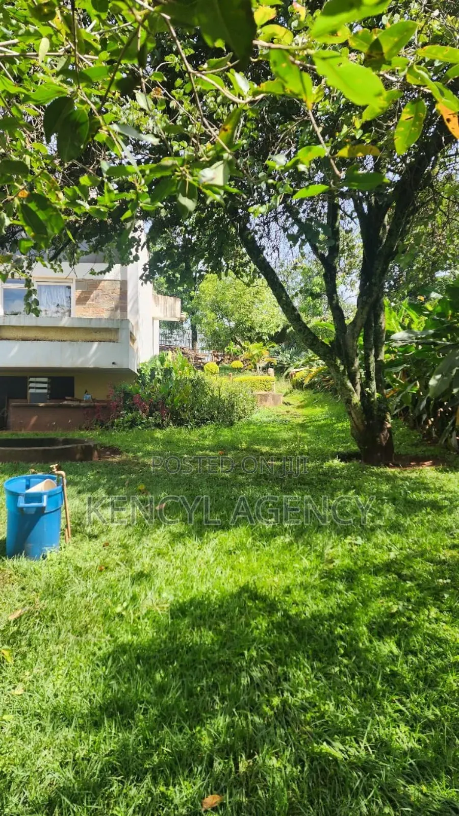 Land for Sale in Lavington in Muthangari