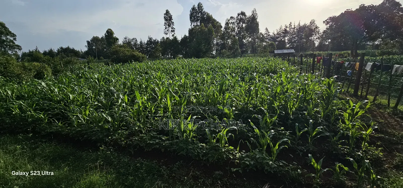 1⁄2 Acre With 2 Bedrooms for Sale in Kipkenyo Eldoret Simat in Kipkenyo