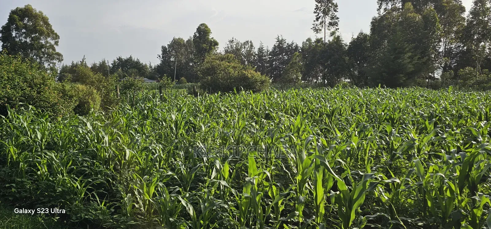 1⁄2 Acre With 2 Bedrooms for Sale in Kipkenyo Eldoret Simat in Kipkenyo