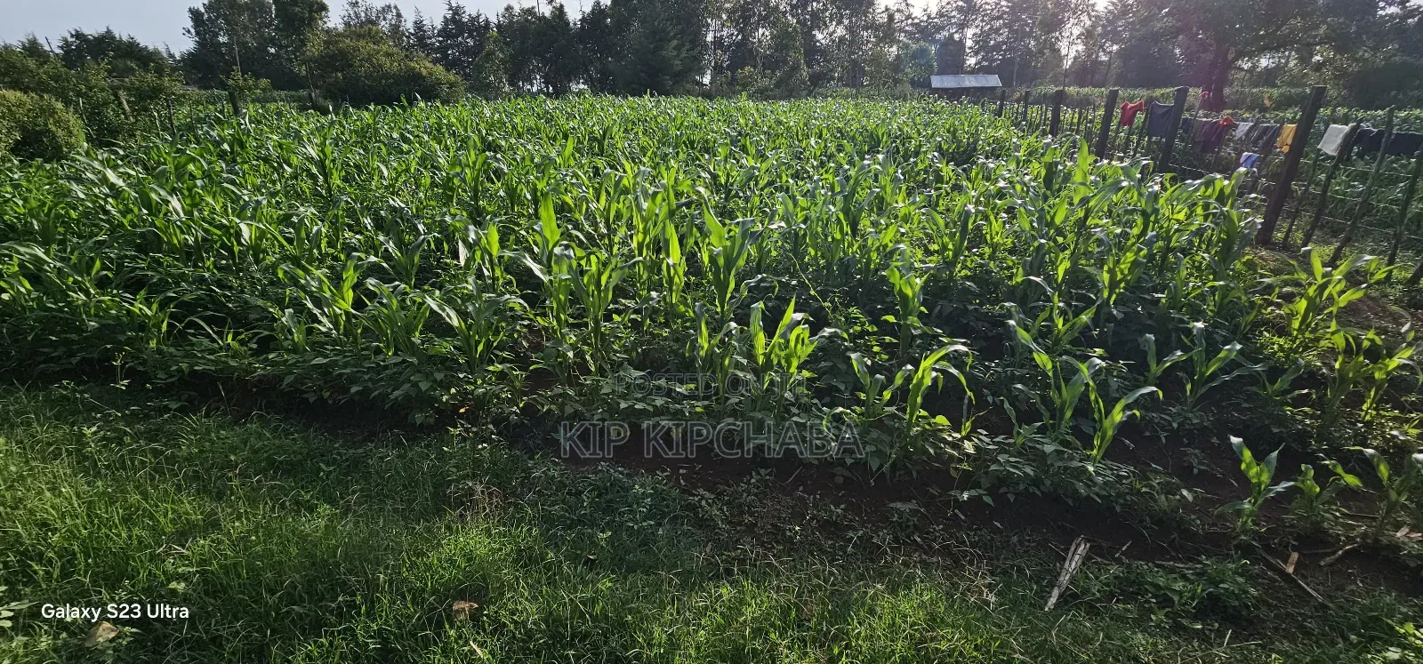 1⁄2 Acre With 2 Bedrooms for Sale in Kipkenyo Eldoret Simat in Kipkenyo