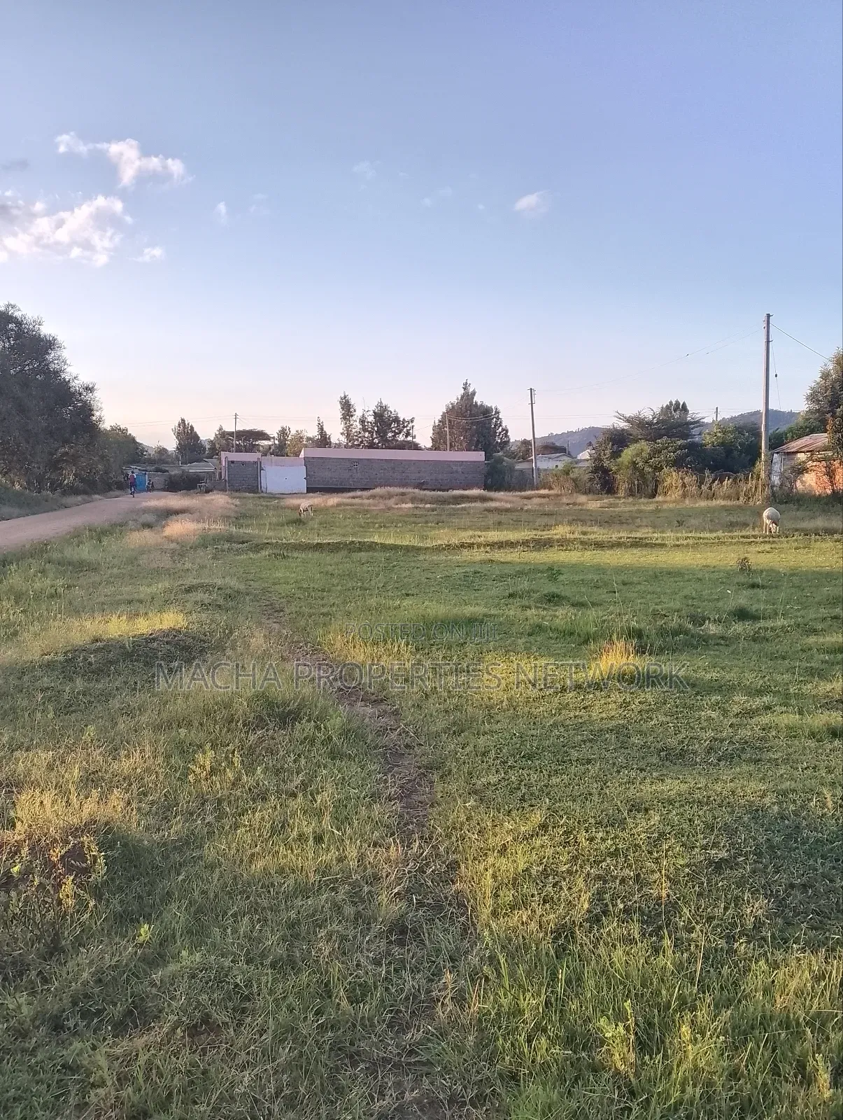 Prime Plot Machakos -Manza in Machakos Town