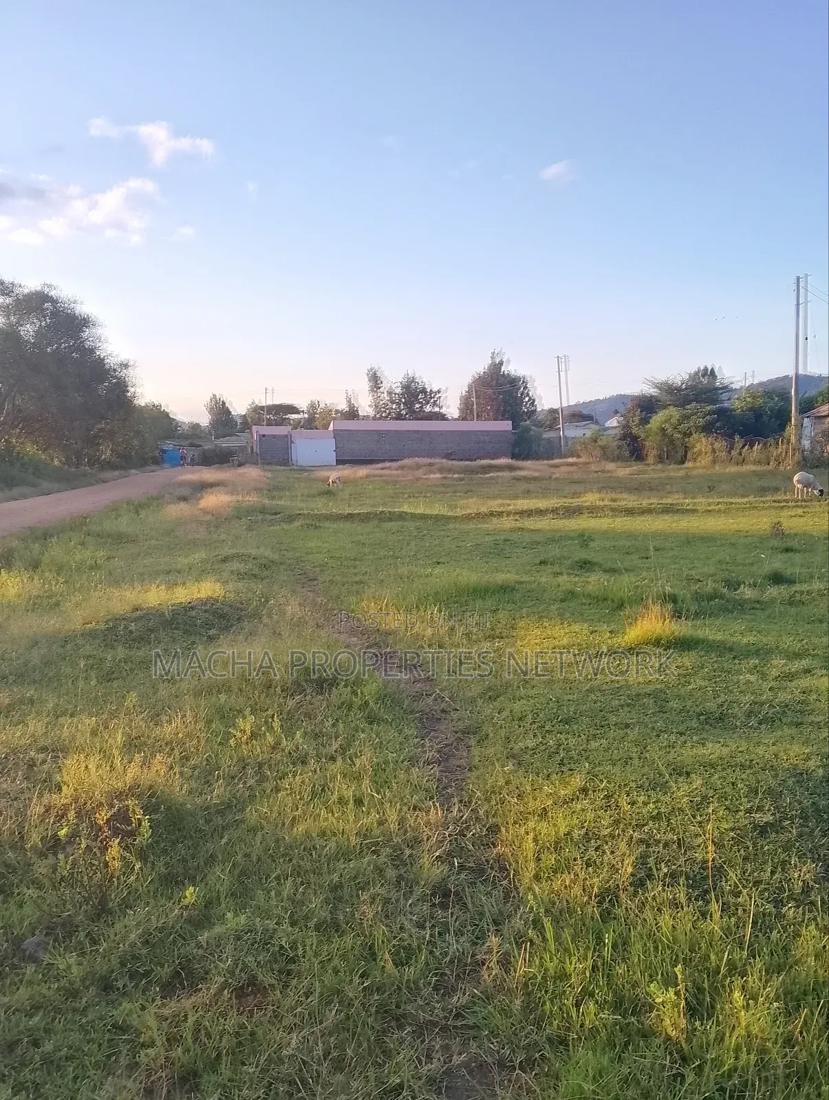 Prime Plot Machakos -Manza in Machakos Town