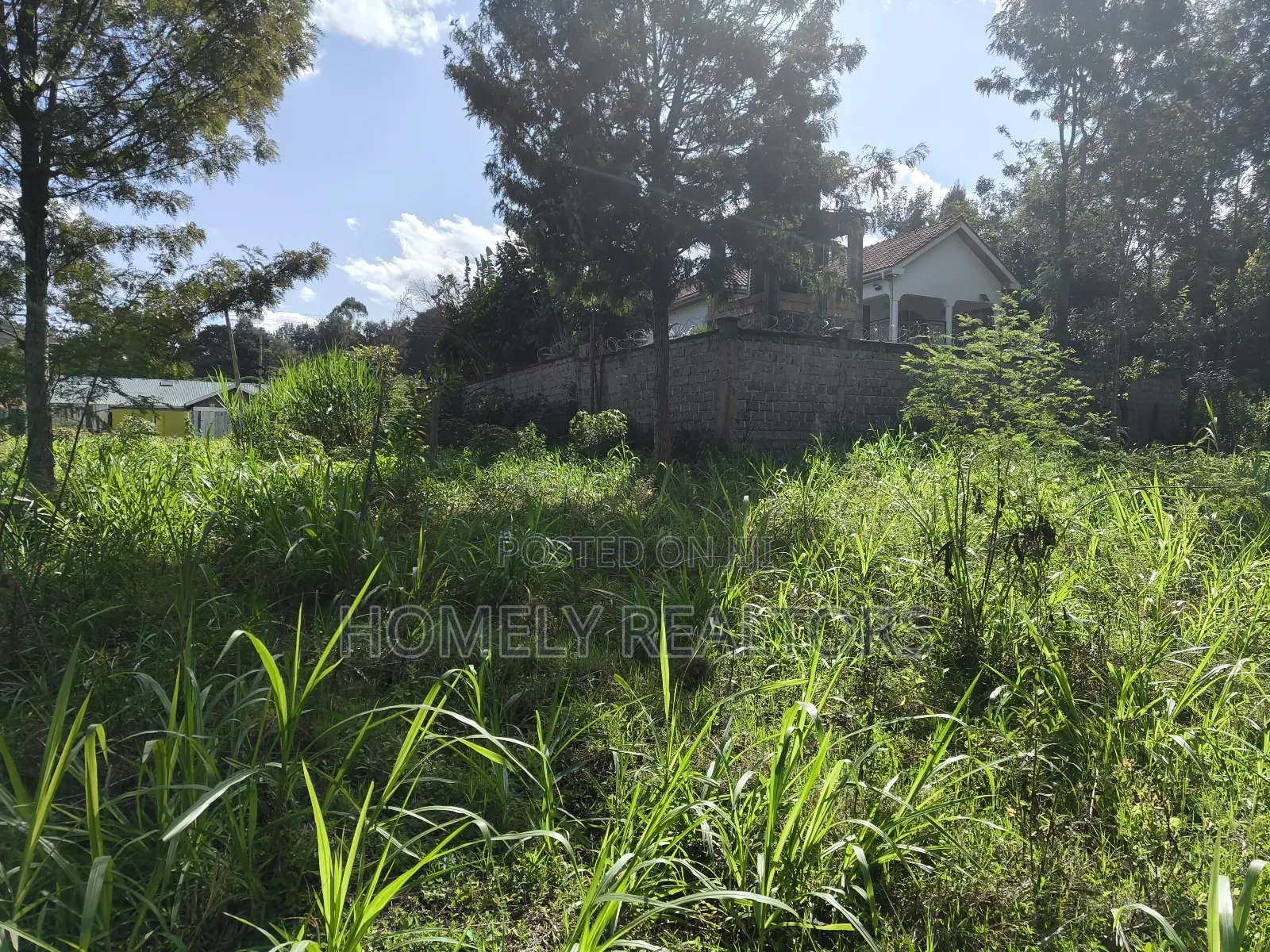 Eighth Acre Plot in Ngong, Matasia 200 Meters From Tarmac in Matasia
