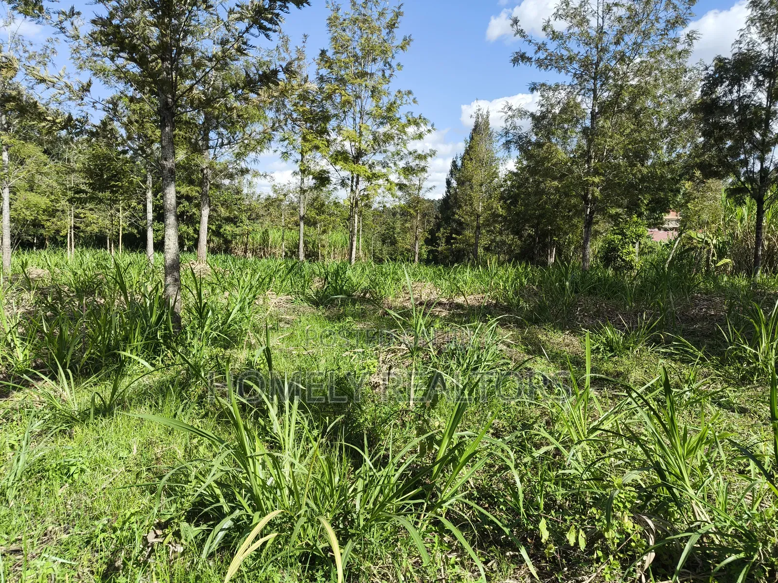 Quarter Acre Plot in Ngong, Matasia 200 Meters From Tarmac in Matasia