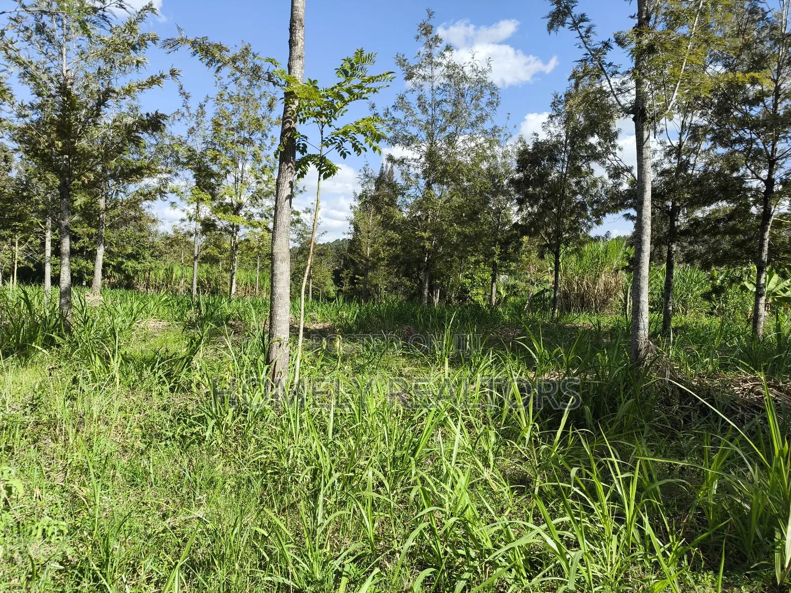 Quarter Acre Plot in Ngong, Matasia 200 Meters From Tarmac in Matasia