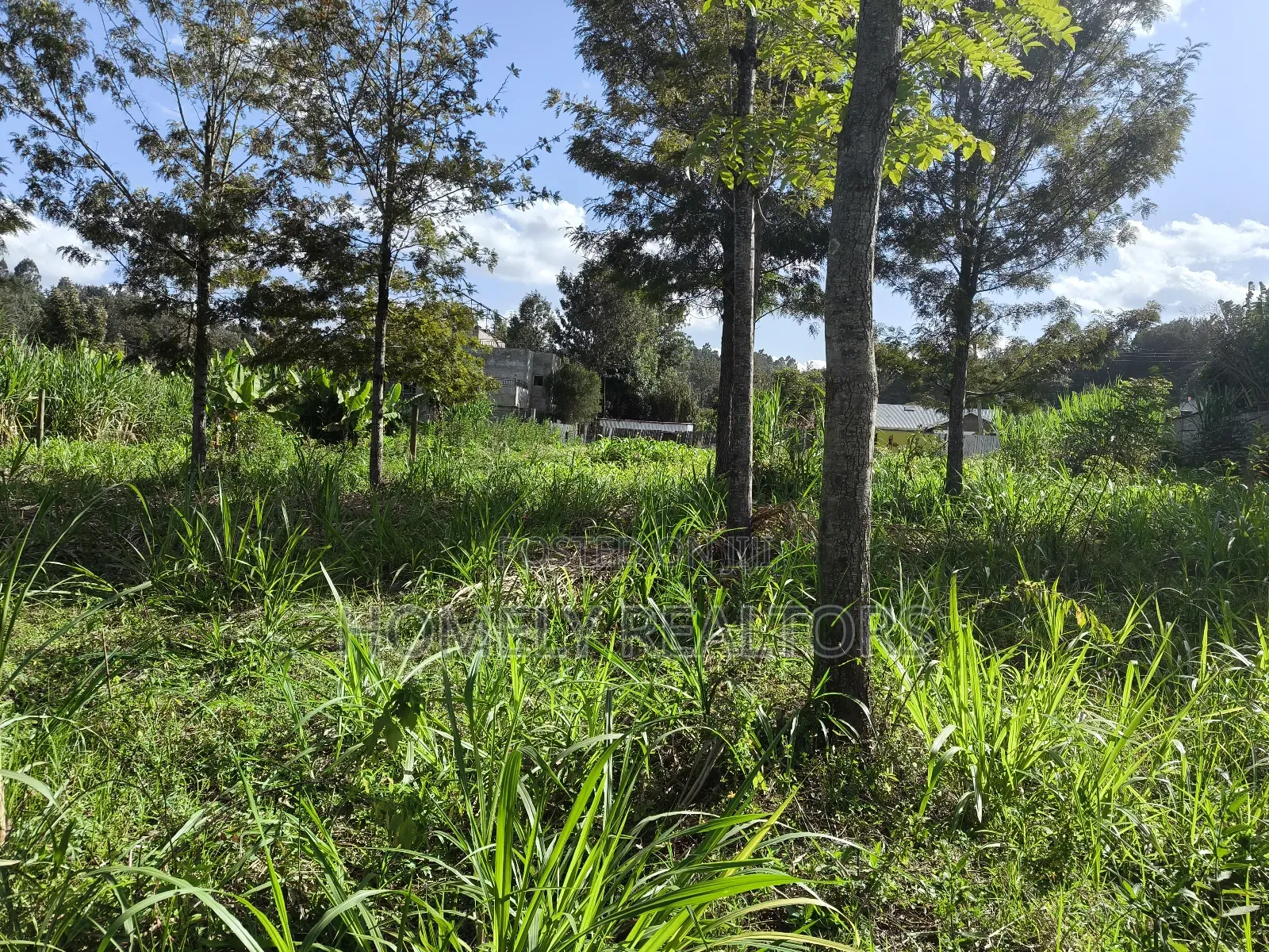 Quarter Acre Plot in Ngong, Matasia 200 Meters From Tarmac in Matasia
