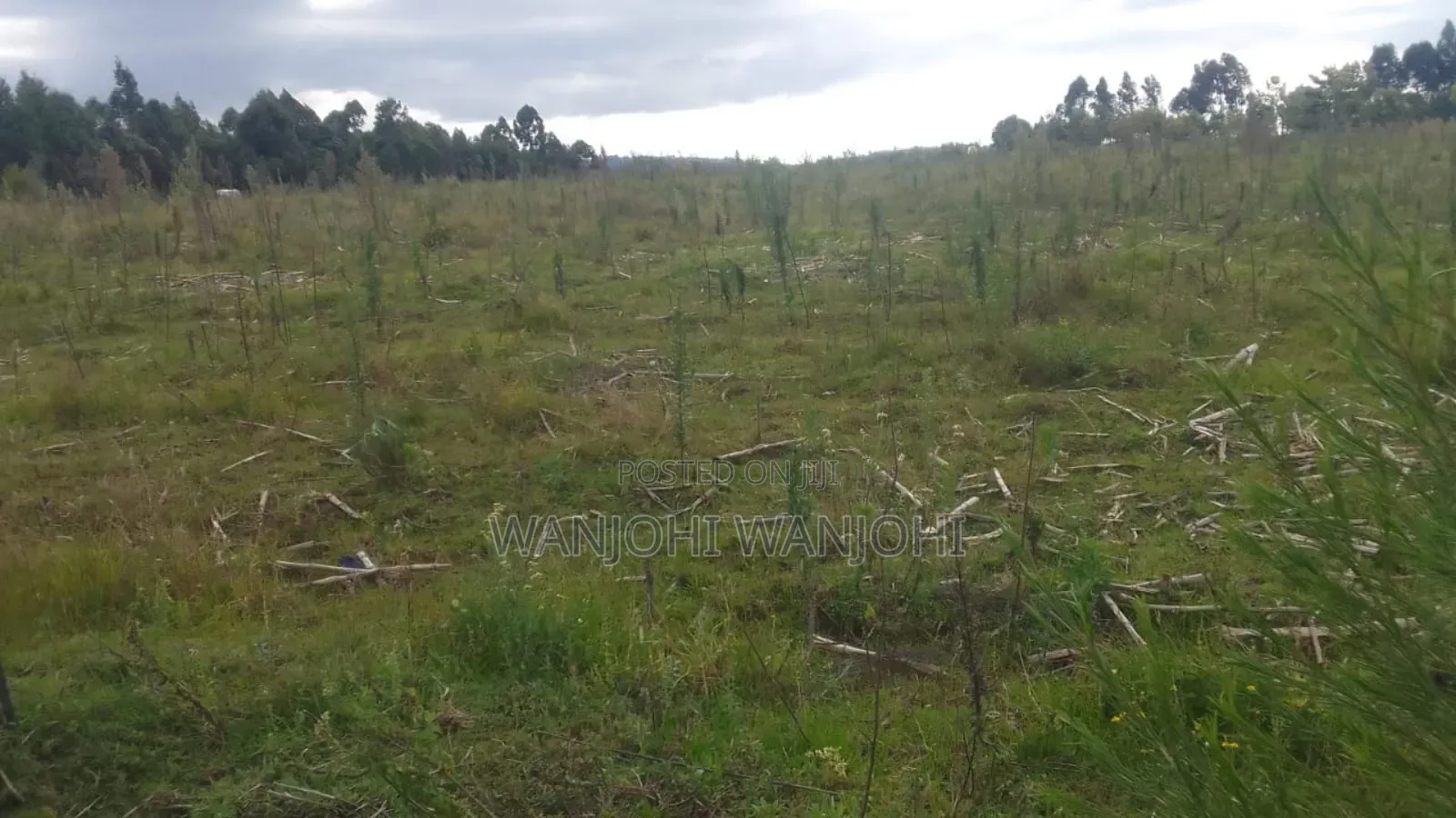 Prime 1 Acre in Gatimu in Gatimu