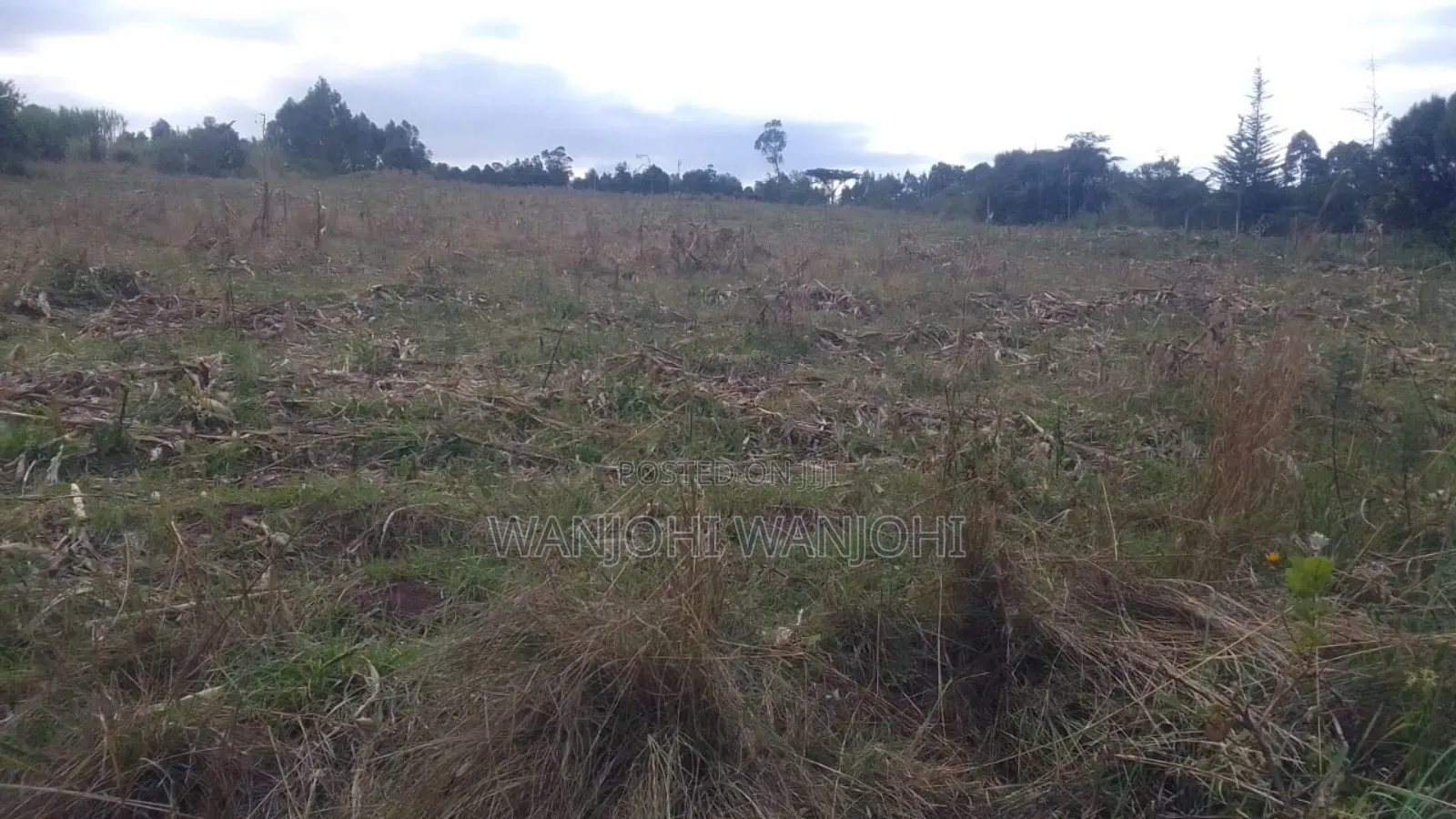 Prime 1 Acre in Gatimu in Gatimu