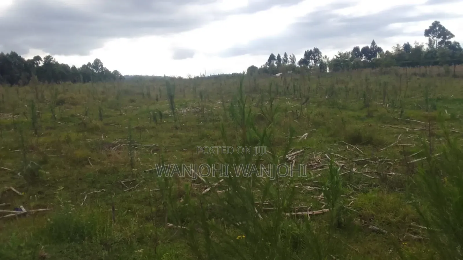 Prime 1 Acre in Gatimu in Gatimu