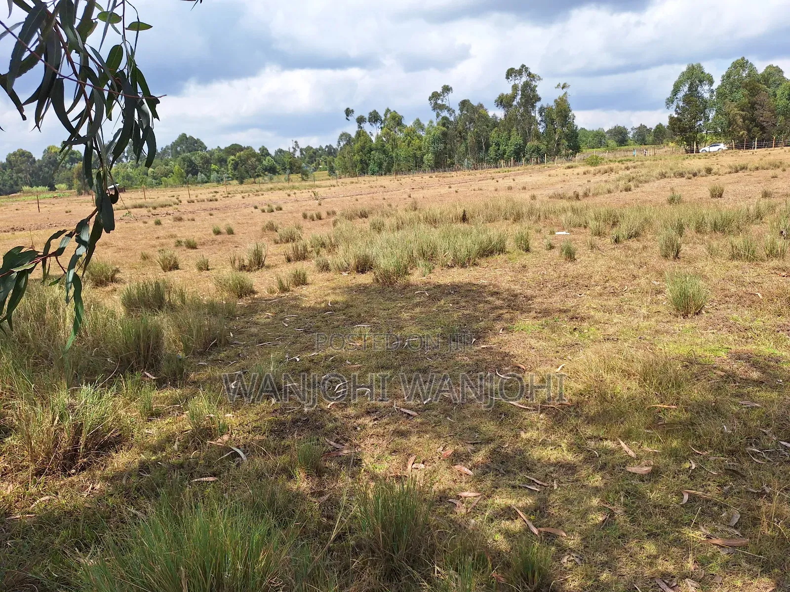 1acre Plot in Nyahururu Environs in Igwamiti