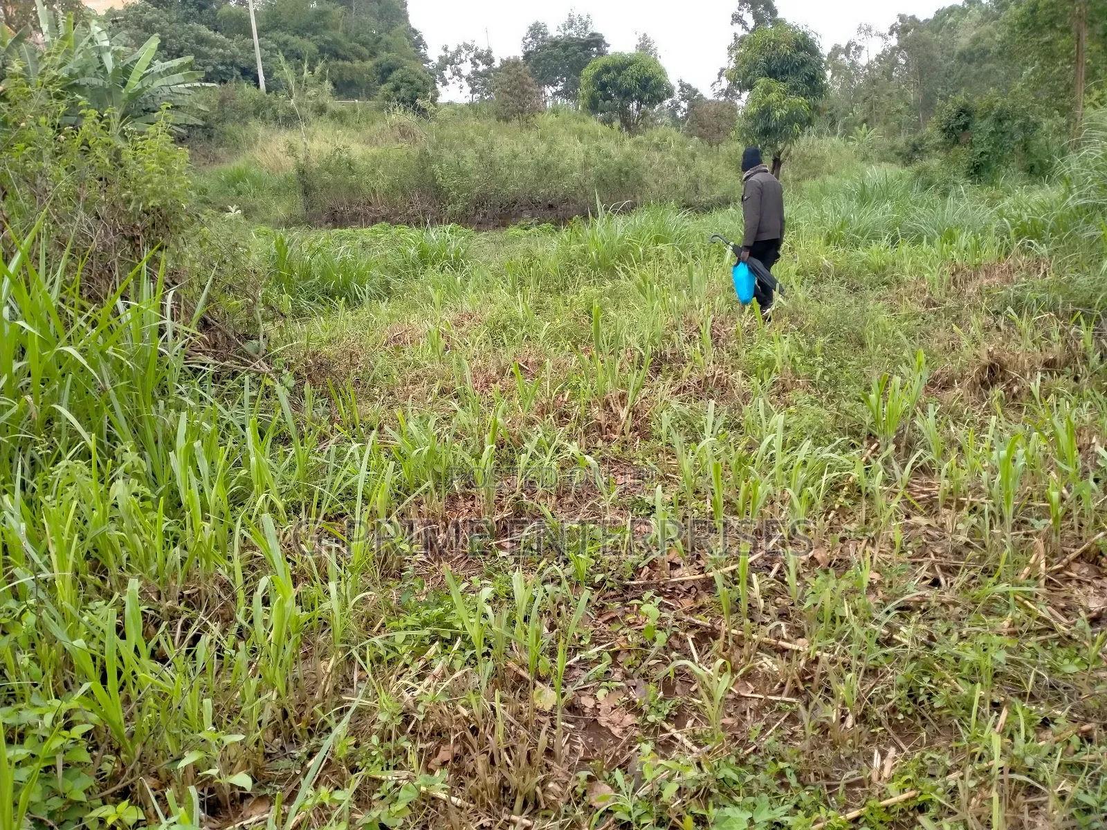 Land for Sale /Plot for Sale in Nairobi Central