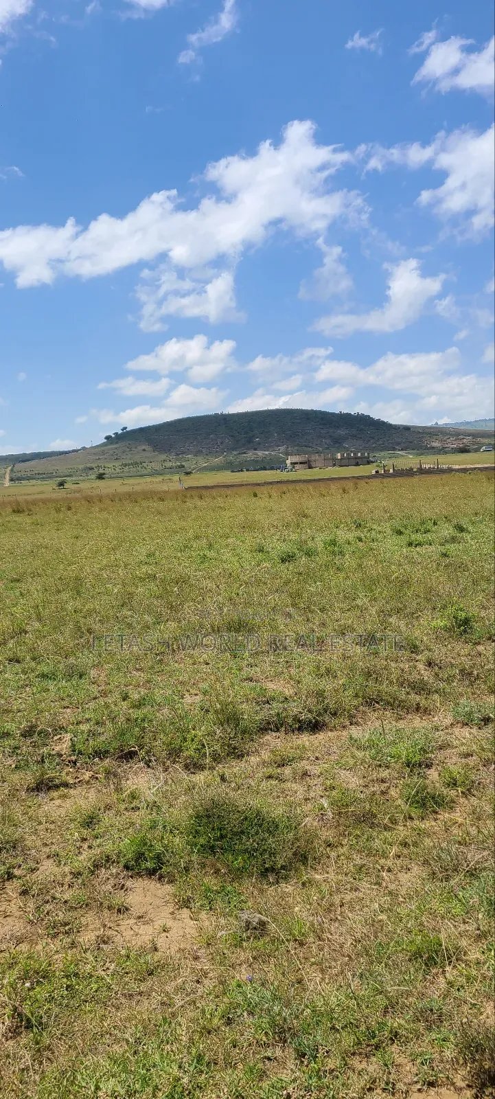 Prime 50 by 100 Plots in Naivasha, Mirera in Mirera