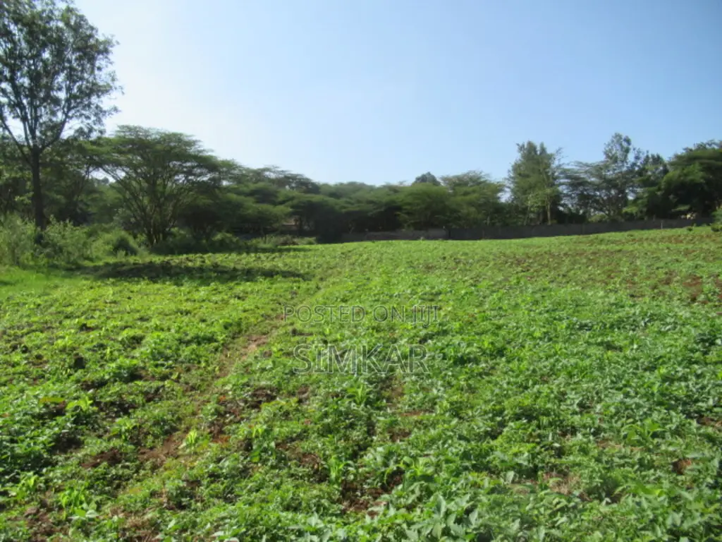 0.5-Acre Plots for Sale in a Gated Community in Karen in Karen C