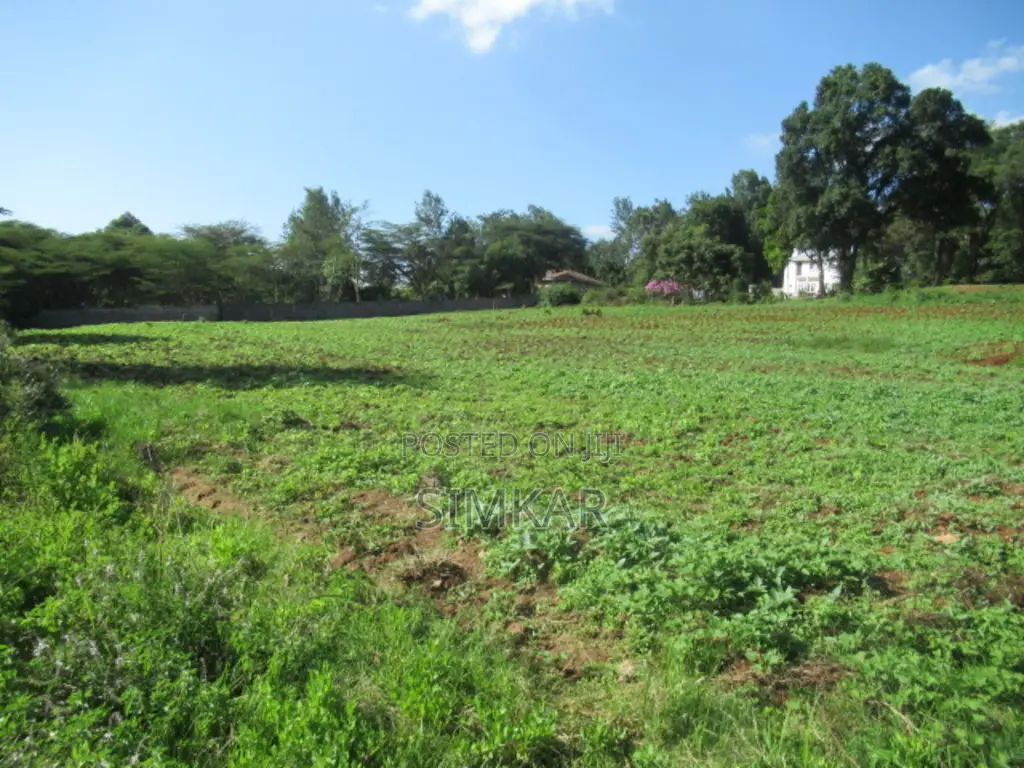 0.5-Acre Plots for Sale in a Gated Community in Karen in Karen C