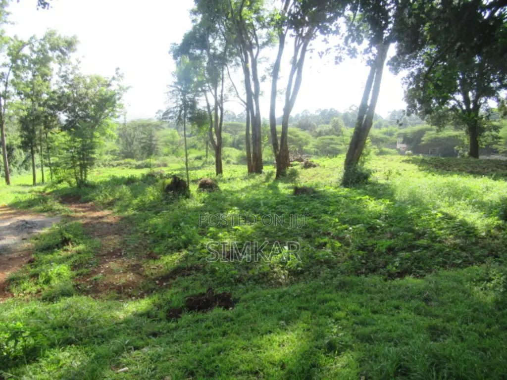 0.5-Acre Plots for Sale in a Gated Community in Karen in Karen C
