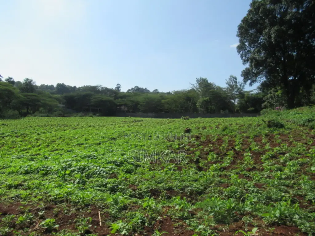 0.5-Acre Plots for Sale in a Gated Community in Karen in Karen C