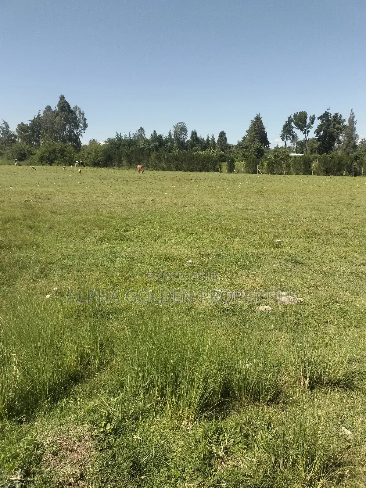 Plots Subdivided Into Quarters Located in Lifestyle Estate in Gakawa
