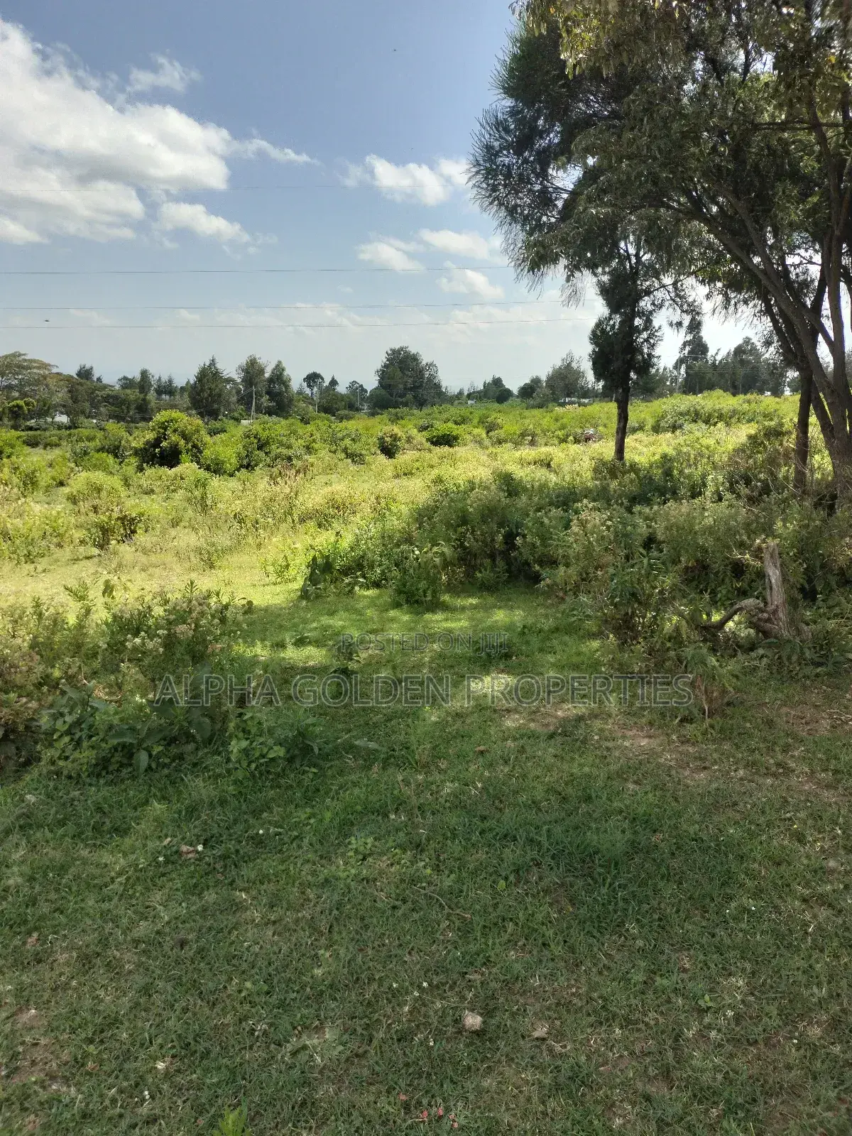 Land Subdivided Into Acres in Nanyuki Airstrip Area in Gakawa