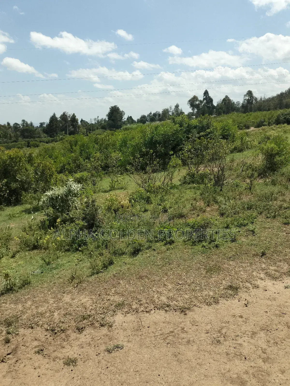 Land Subdivided Into Acres in Nanyuki Airstrip Area in Gakawa