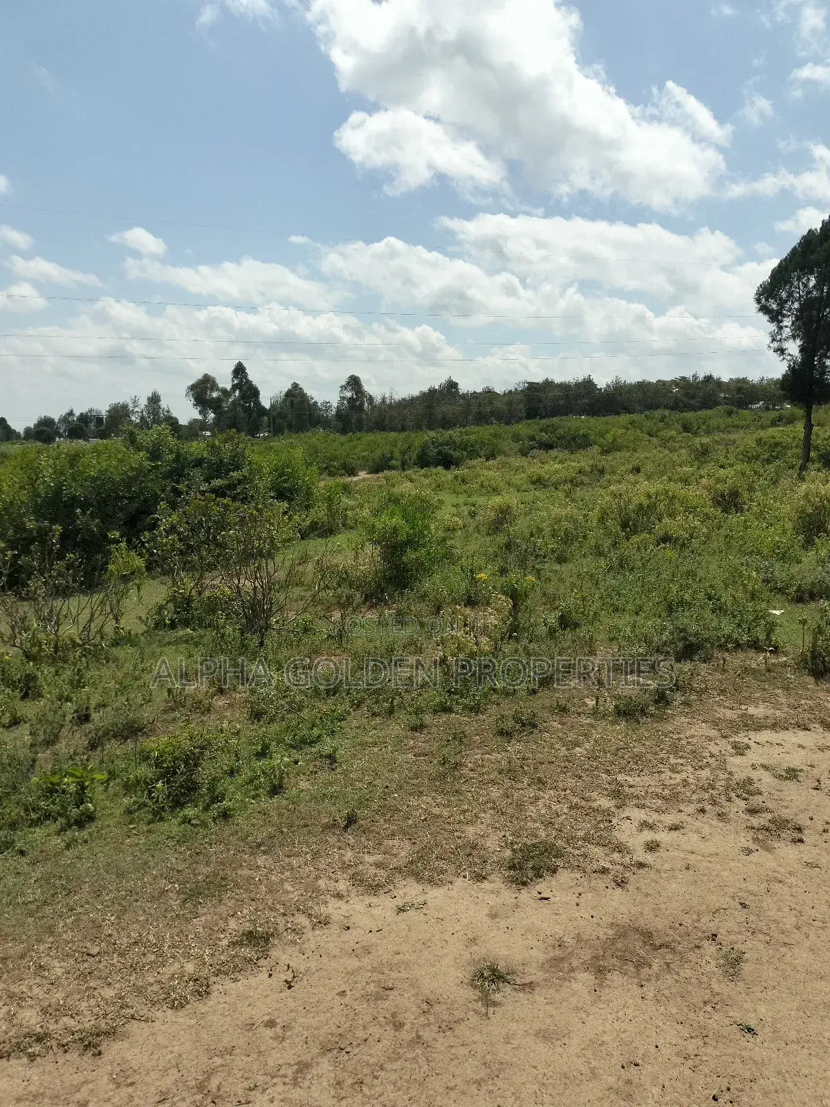 Land Subdivided Into Acres in Nanyuki Airstrip Area in Gakawa