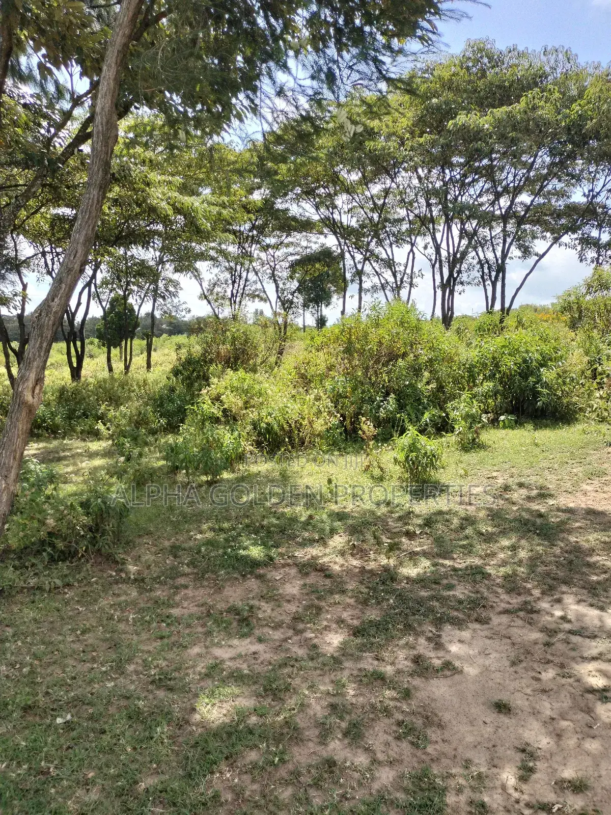 Land Subdivided Into Acres in Nanyuki Airstrip Area in Gakawa
