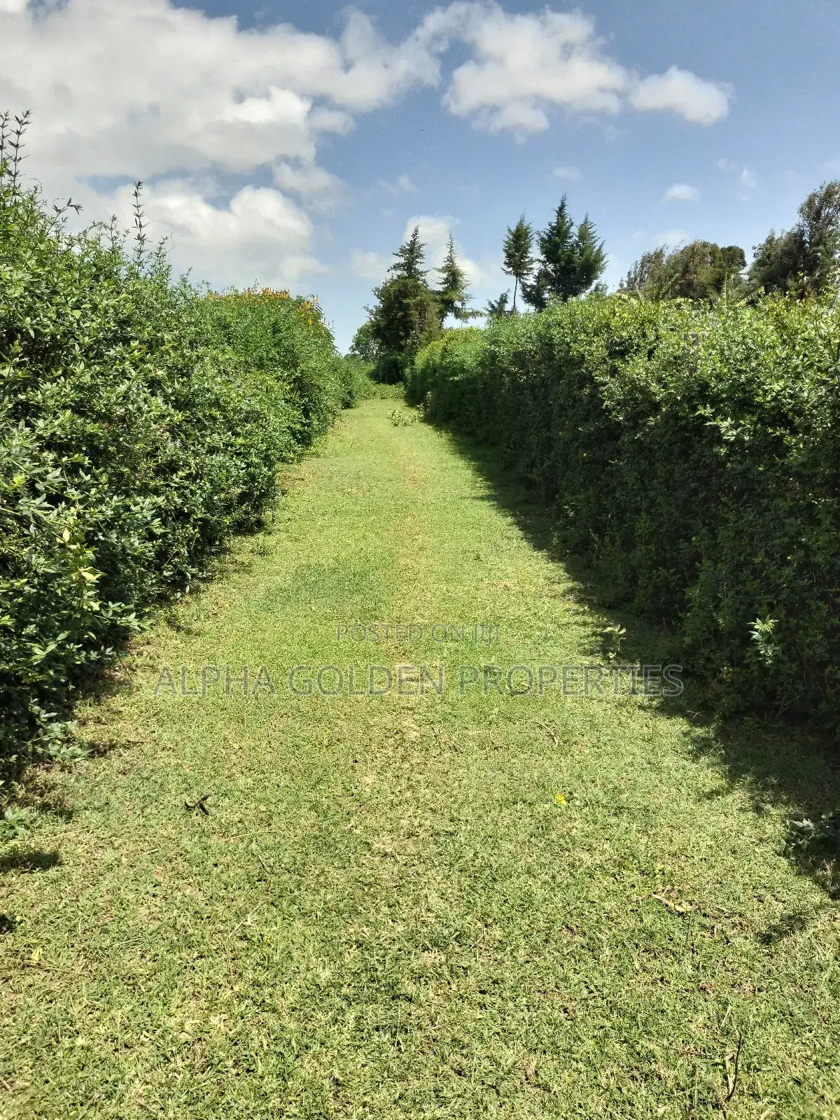 3/4 Acre in Nanyuki in Gakawa