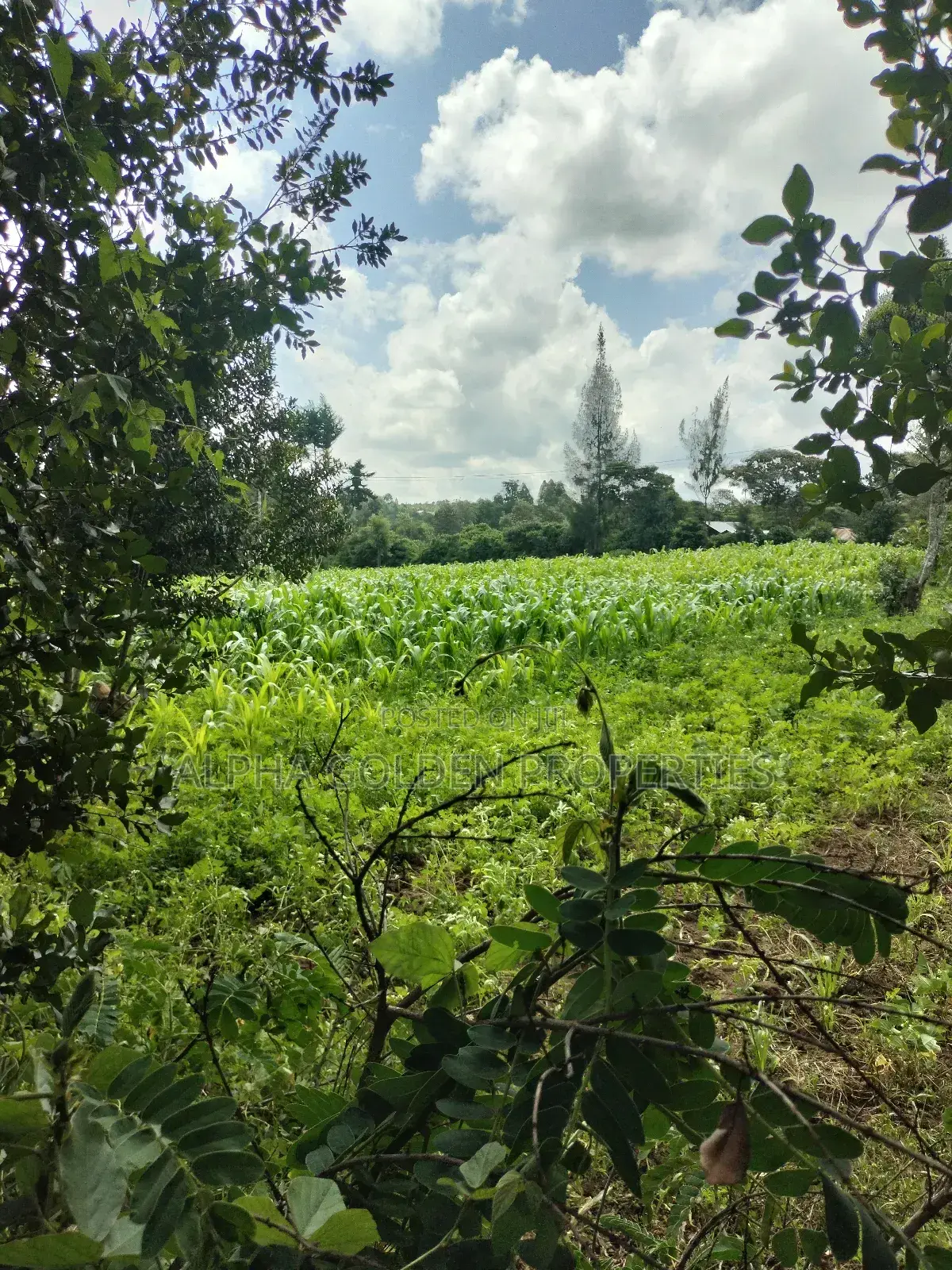 3/4 Acre in Nanyuki in Gakawa