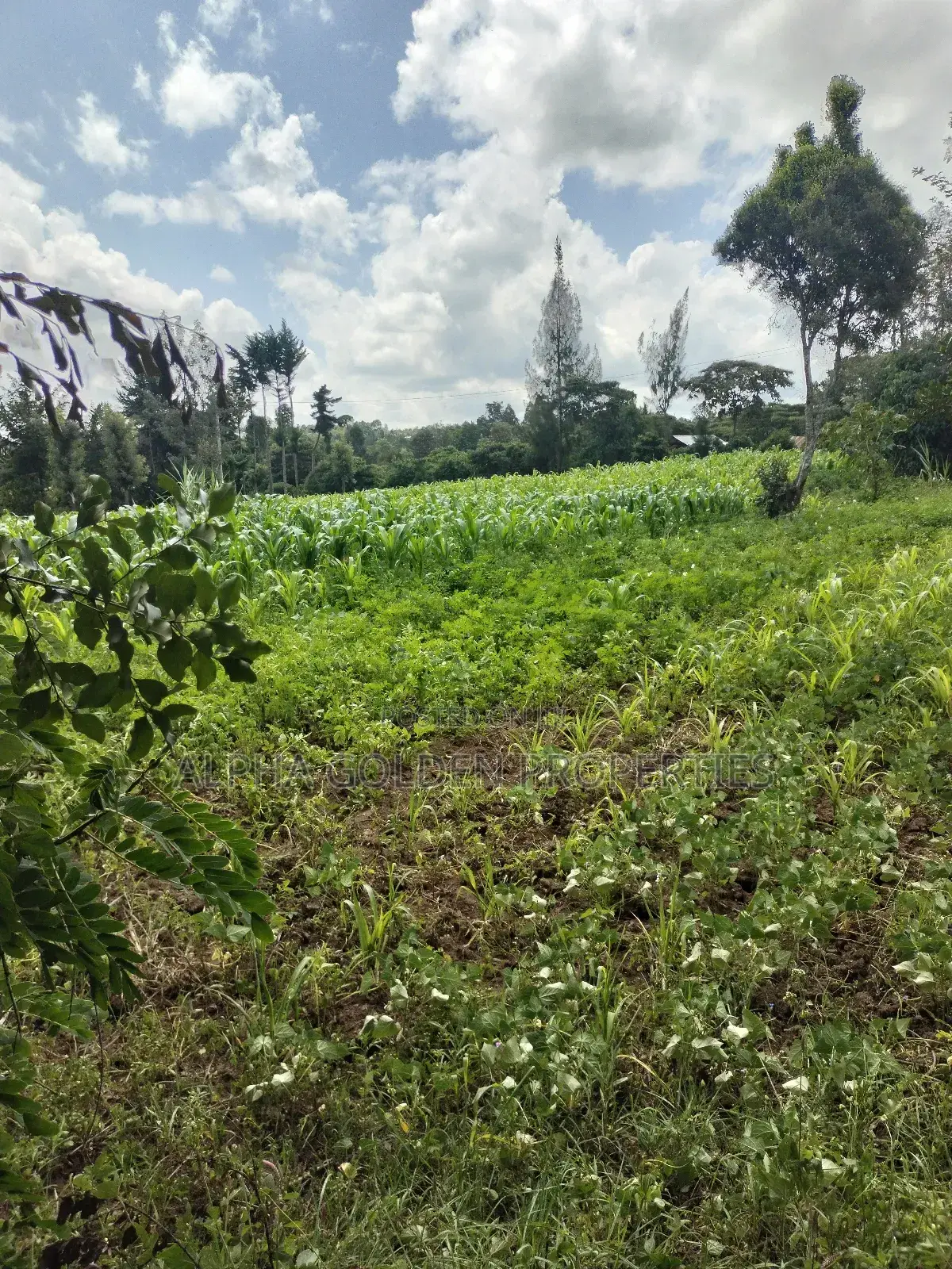 3/4 Acre in Nanyuki in Gakawa