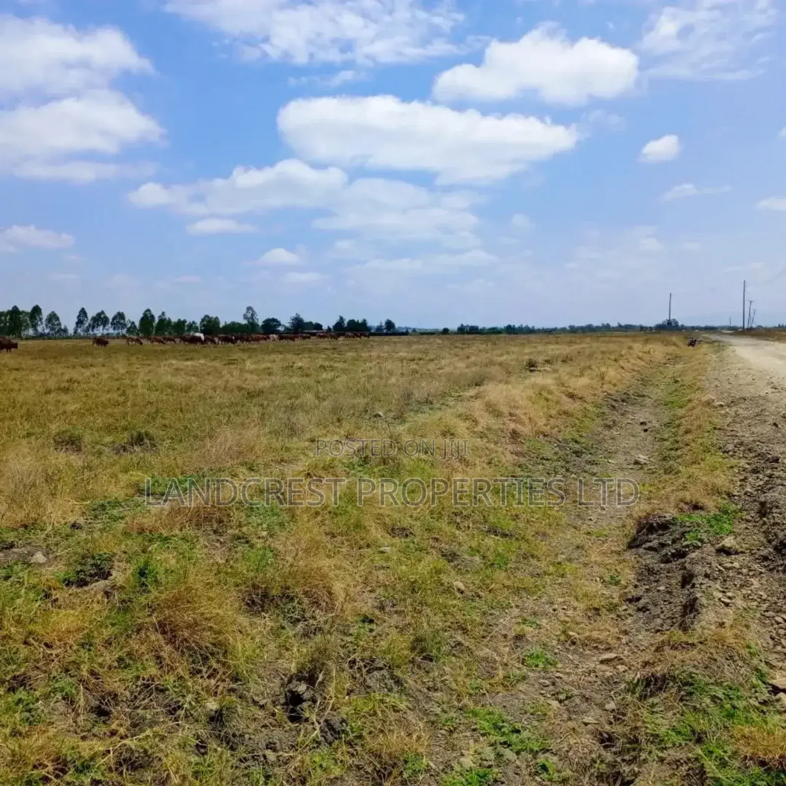50*100 Land for Sale in Birika Town in Isinya