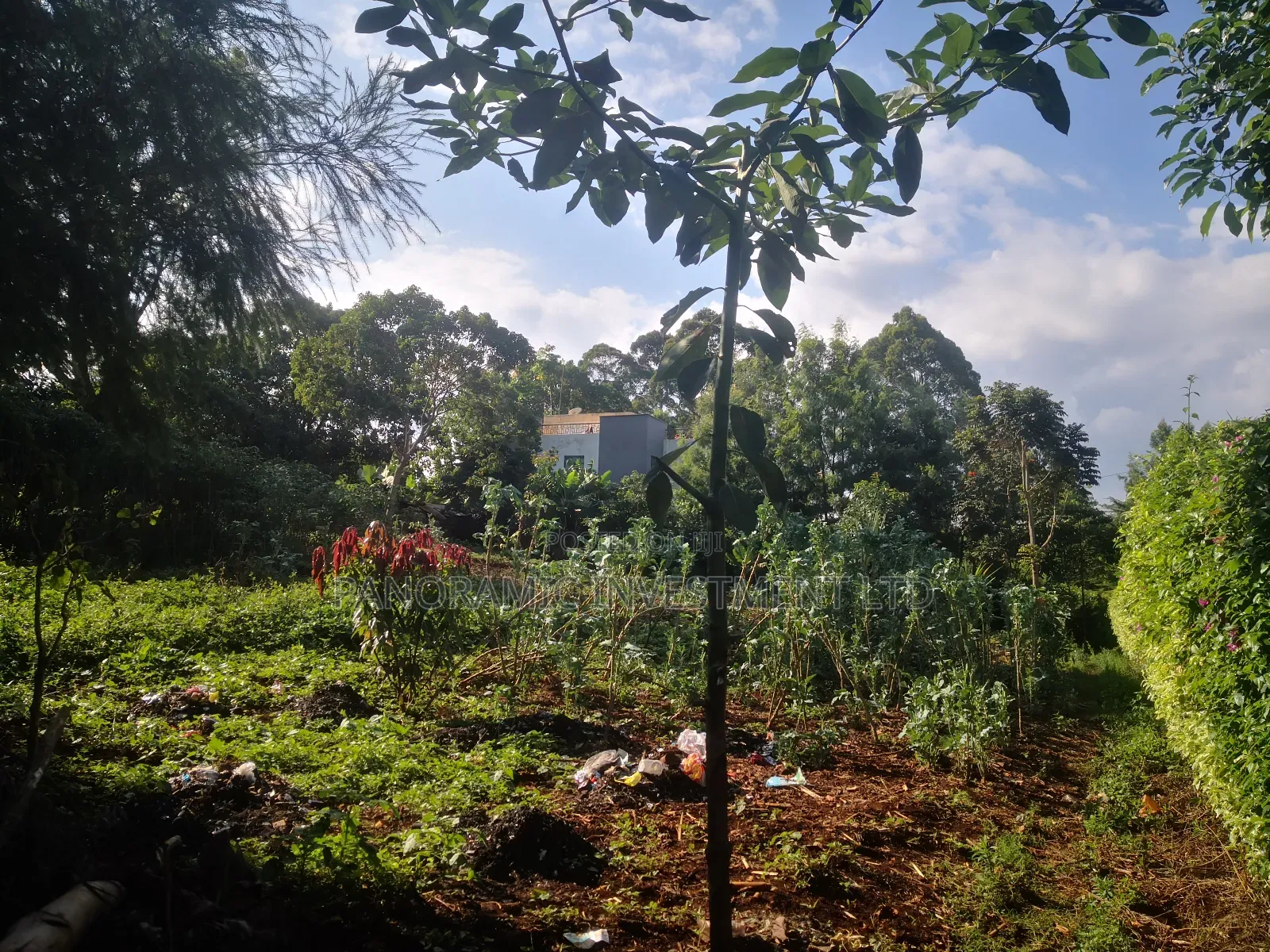 Quarter Acre Plot for Sale in Fortsmith Kabete Kiambu. in Kikuyu