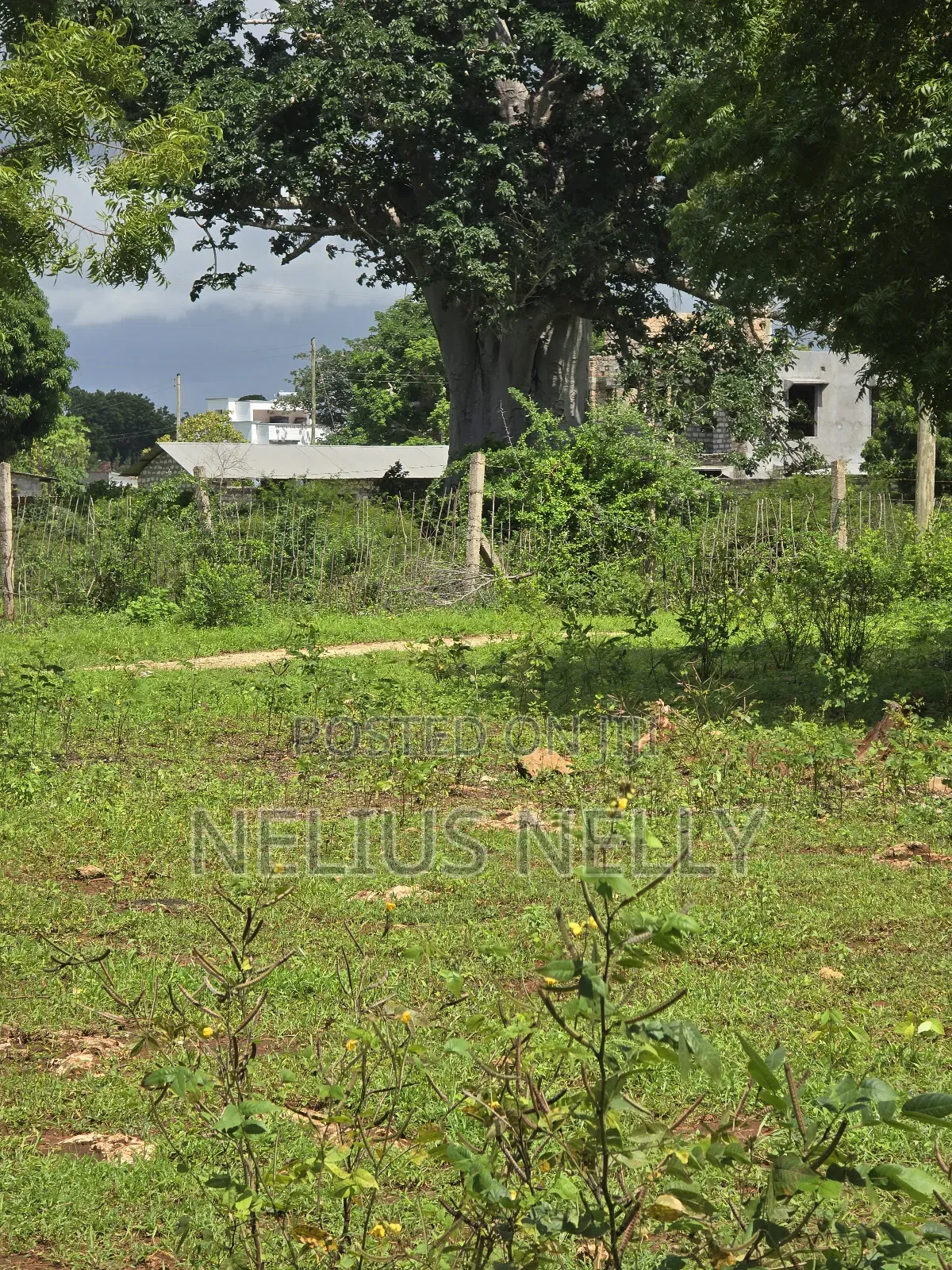 Bofa Plots Kilifi Walking Distance From Highway in Kilifi North