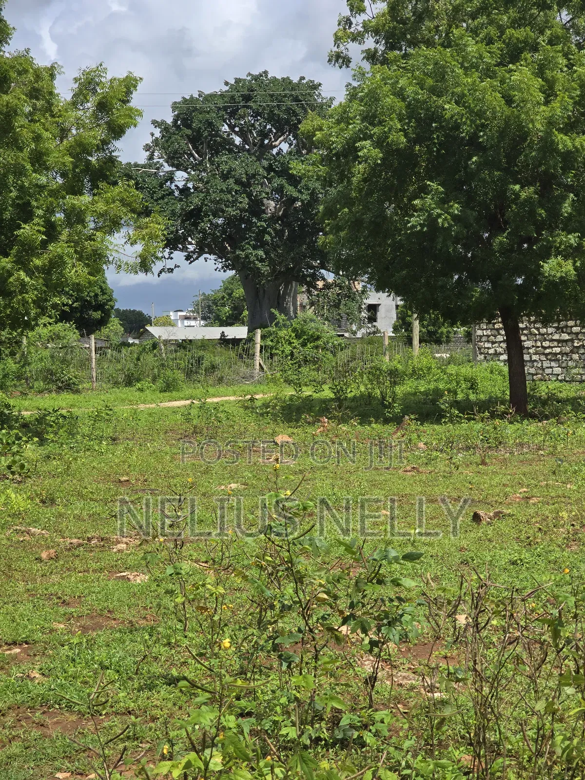 Bofa Plots Kilifi Walking Distance From Highway in Kilifi North