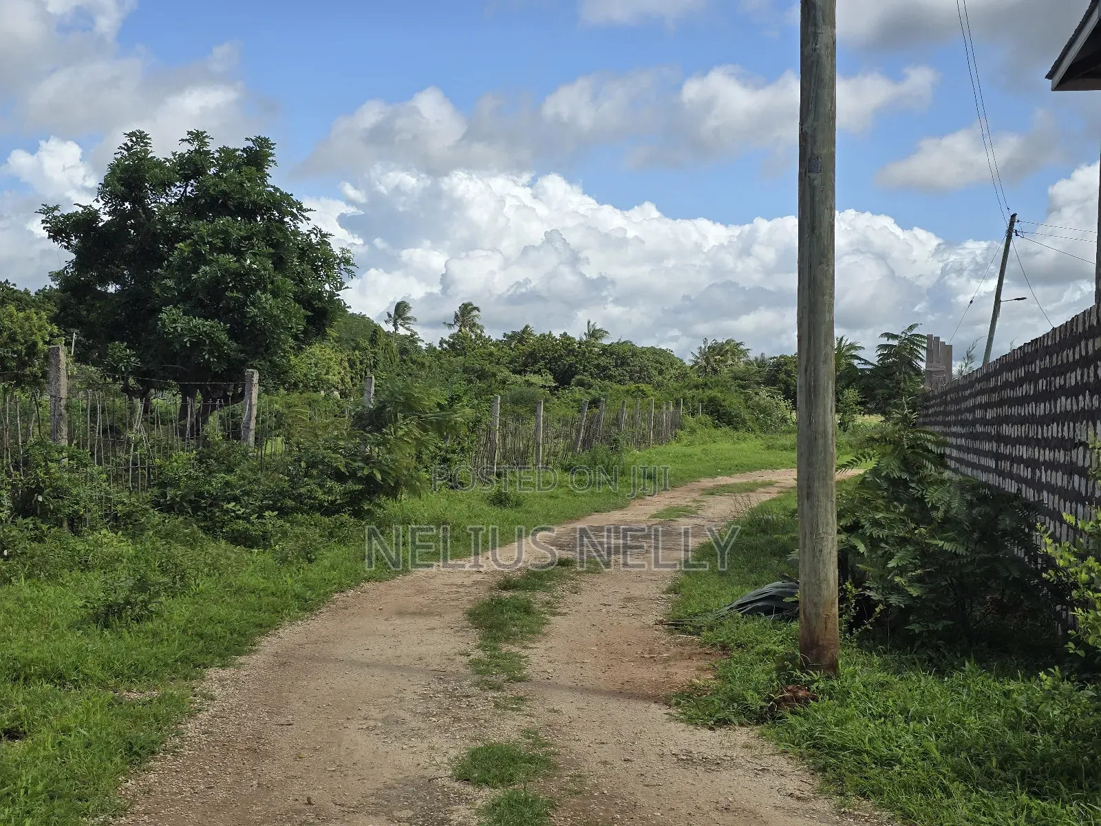 Bofa Plots Kilifi Walking Distance From Highway in Kilifi North