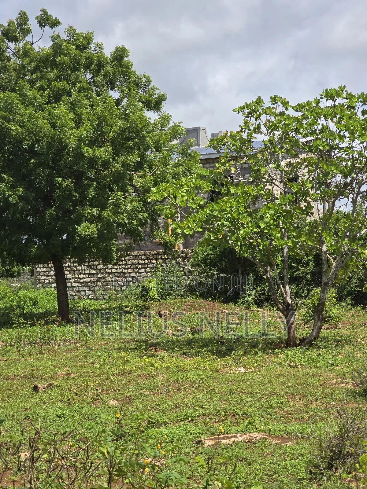 Bofa Plots Kilifi Walking Distance From Highway in Kilifi North