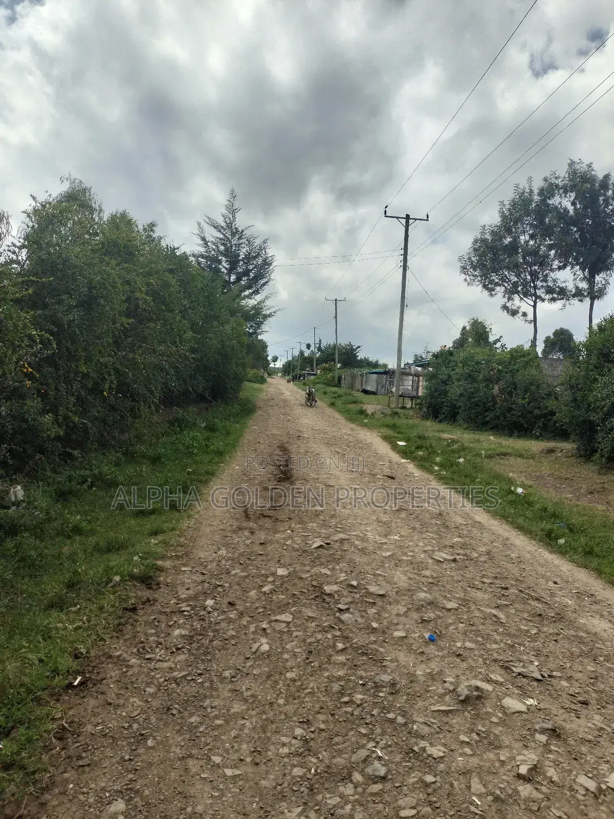 Nanyuki 50/100 Plots in Gakawa