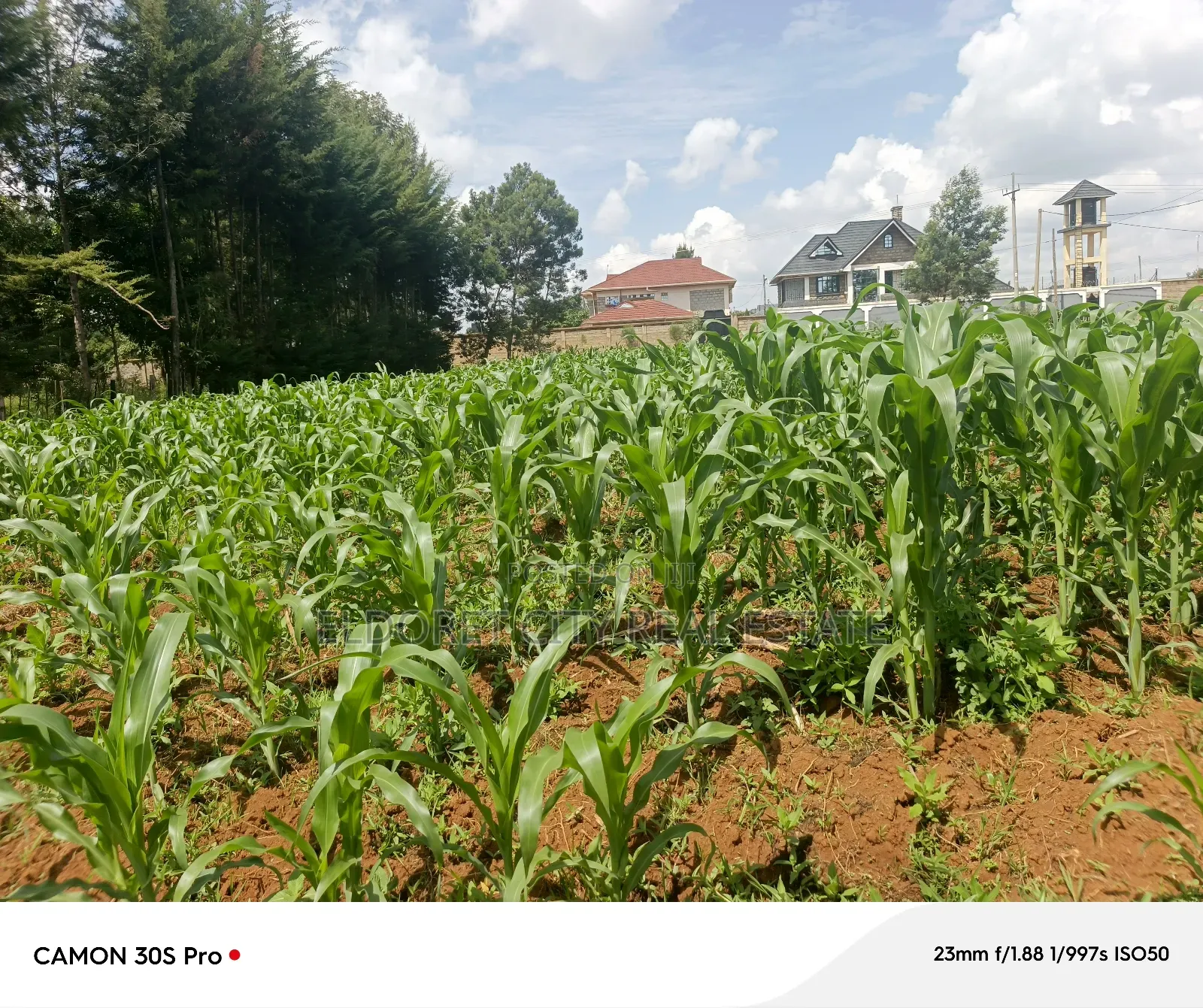 1/2 Acre Upper Elgonview or One Acre. in MTRH Area