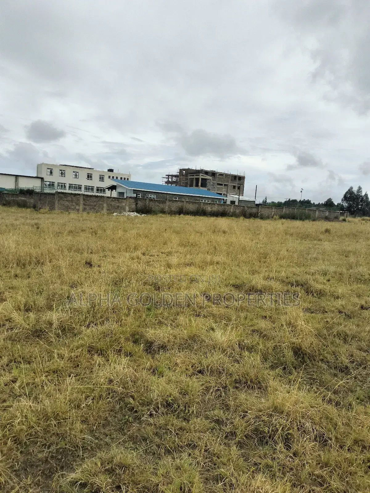 Nanyuki 100/100 Plots in Gakawa