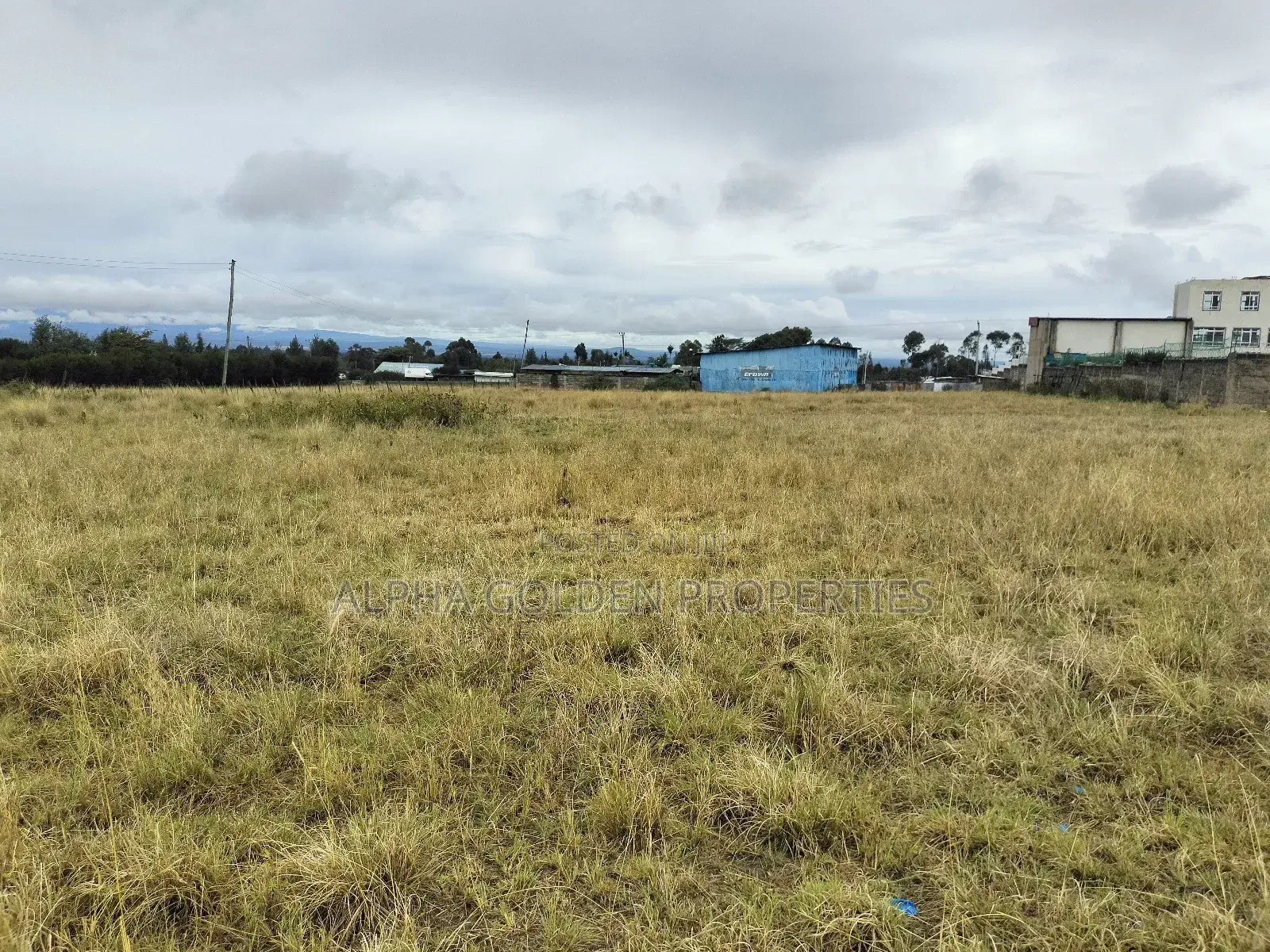Nanyuki 100/100 Plots in Gakawa