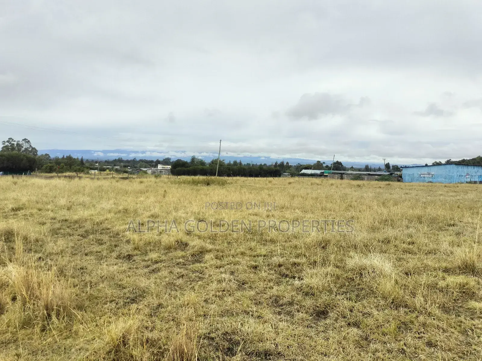 Nanyuki 100/100 Plots in Gakawa