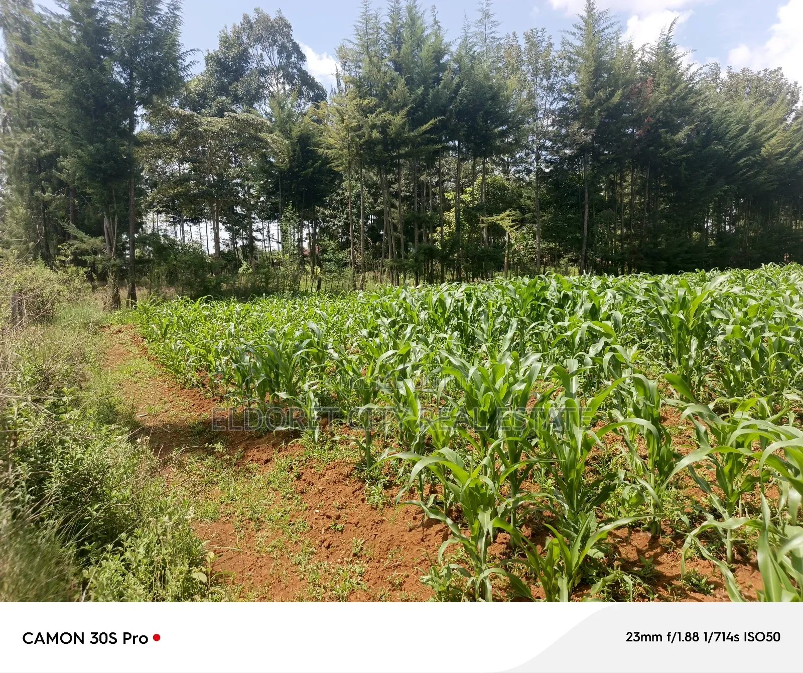 One Acre Elgonview Estate in MTRH Area