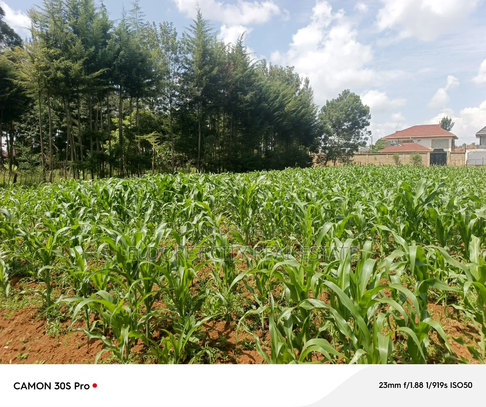 One Acre Elgonview Estate in MTRH Area
