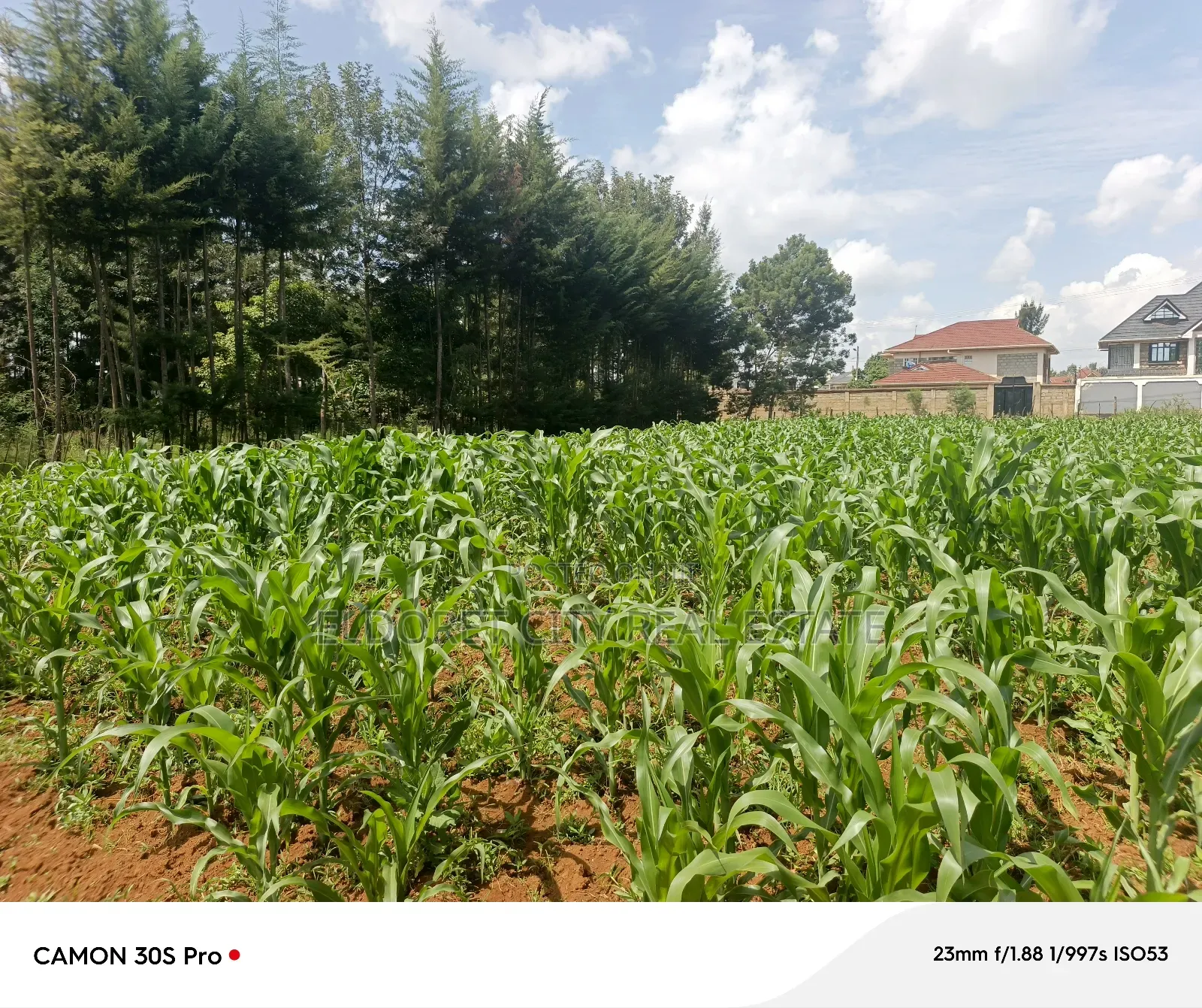 One Acre Elgonview Estate in MTRH Area