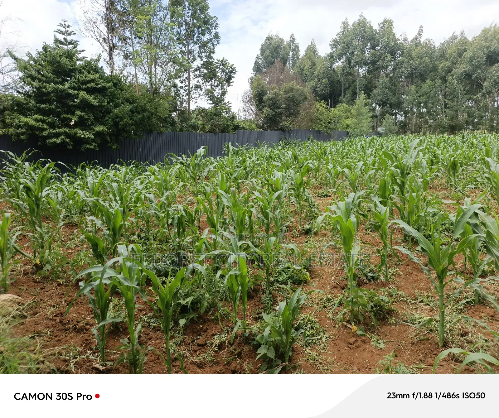 1/2 Acre Blossom Estate Annex With Title. in MTRH Area
