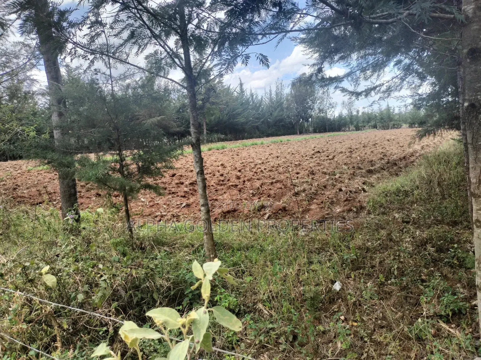 Nanyuki Nkando 1 Acre 300mtrs From Tarmac in Naromoru Kiamathaga