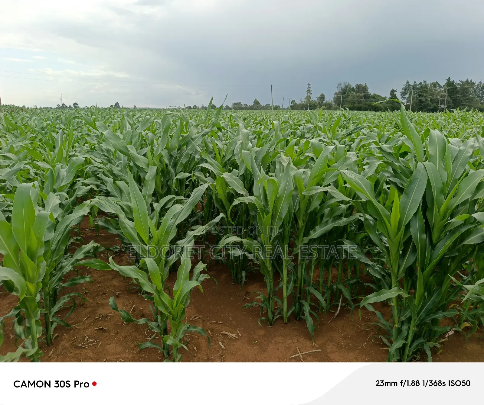 Two Acres Marura With Title Good for Residential in MTRH Area