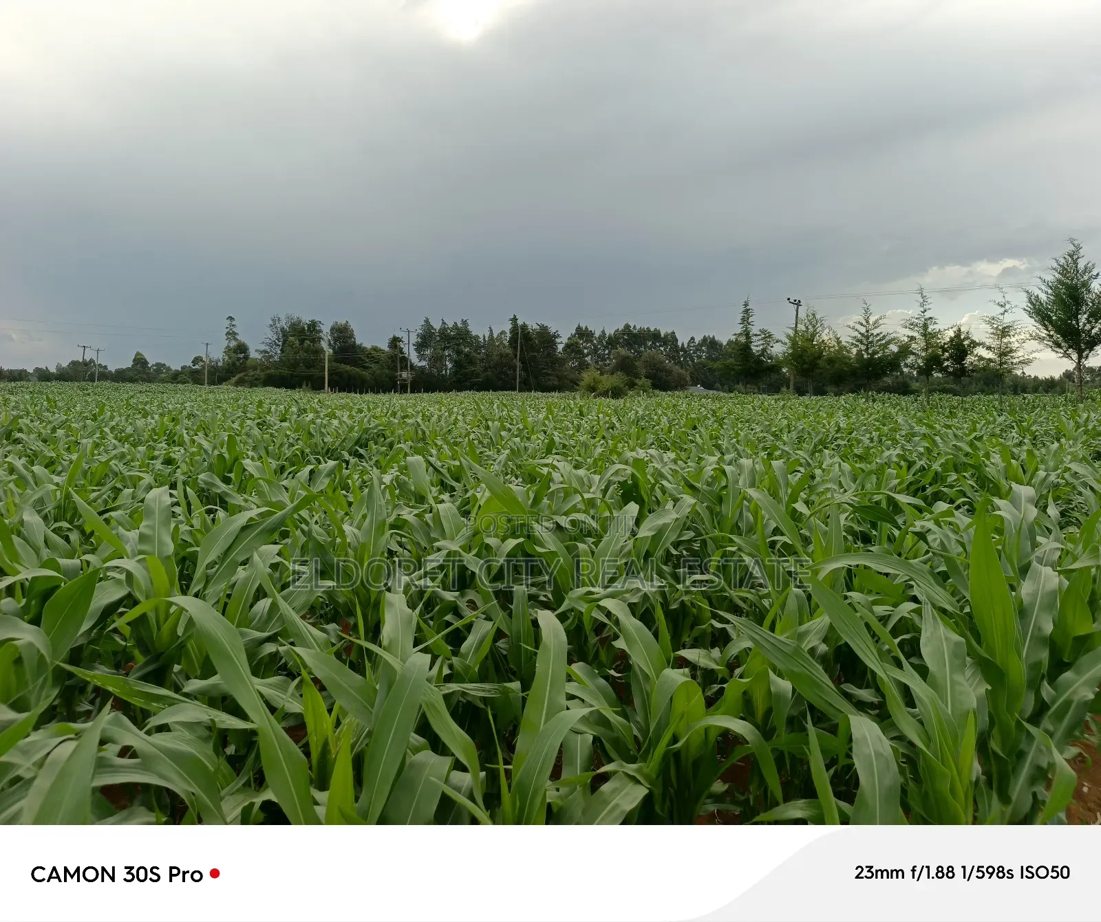 Two Acres Marura With Title Good for Residential in MTRH Area